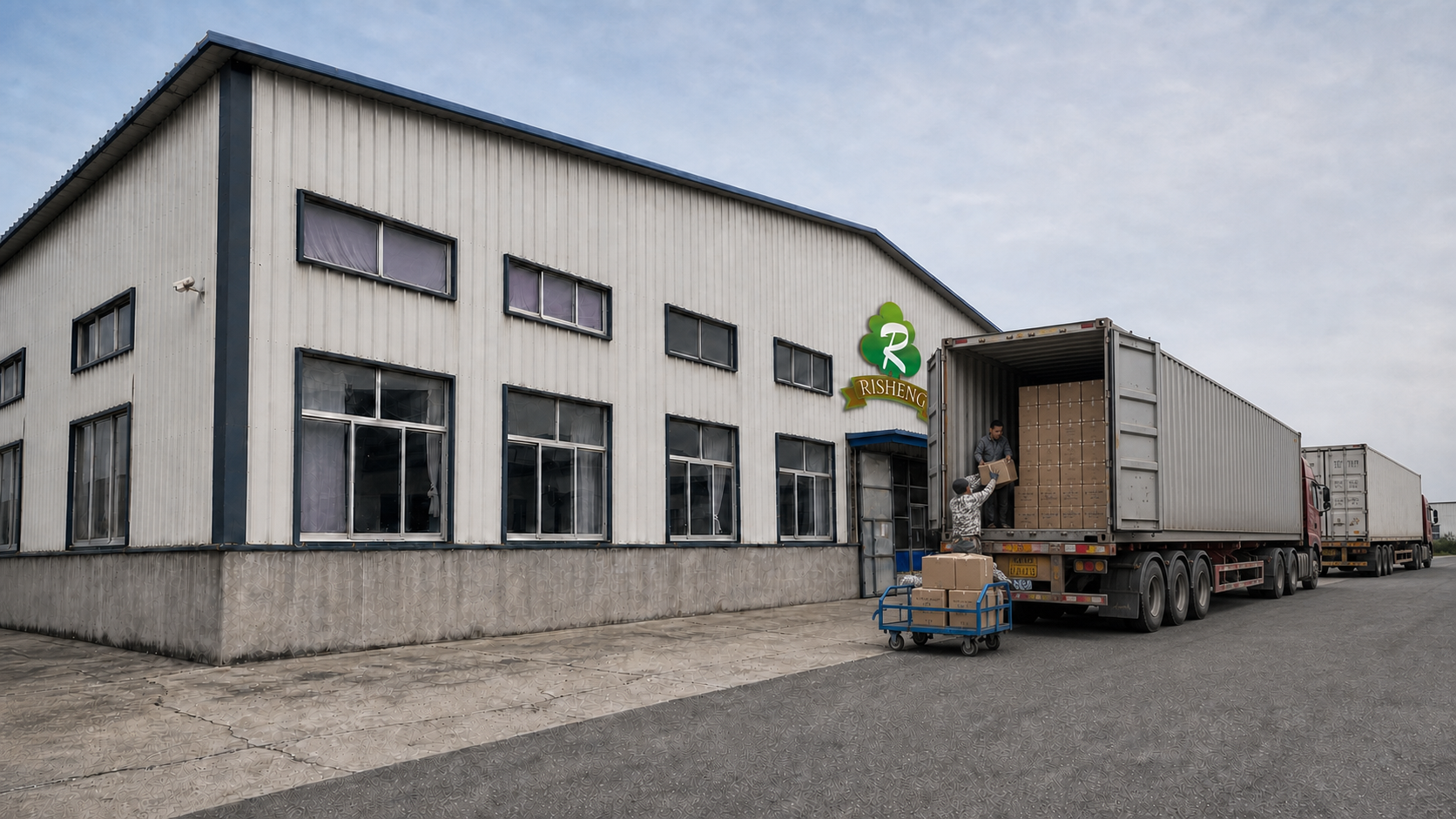 Two full-length export trucks loading cartons outside the Risheng factory